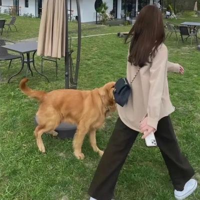 独活女子的推荐 第五季